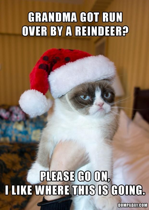 Grumpy Cat Hates Christmas Funny Meme – FUNNY MEMES