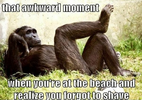 Awkward Moment at Beach and Realize forgot to Shave Funny Meme