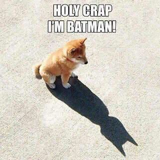 Batman Funny Meme