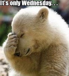 Damn Its Only Wednesday Funny Meme – FUNNY MEMES