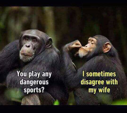 Dangerous Sports Disagree My Wife Funny Meme