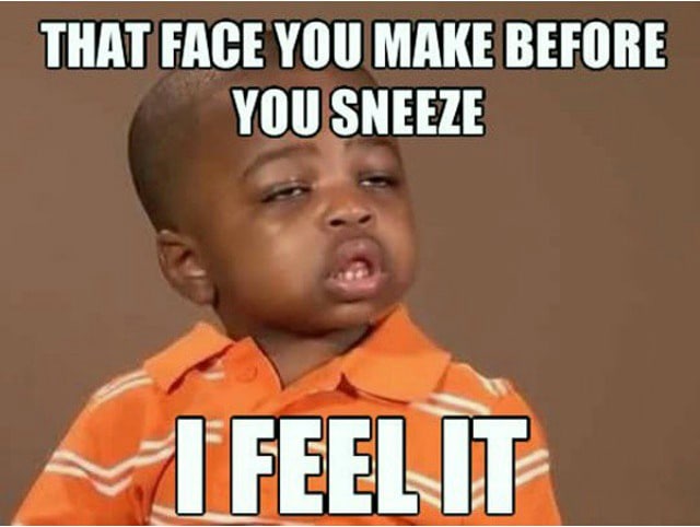 Face_You_Make_Before_Sneeze_Funny_Meme.jpg