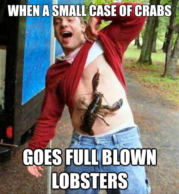 Full blown lobsters Funny Meme