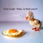 Funny Easter Meme