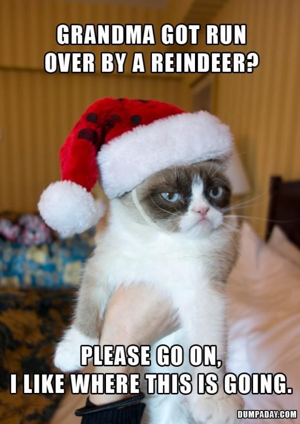 Grumpy Cat Hates Christmas Funny Meme