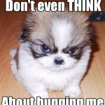 Grumpy dog doesnt like hugs Funny Meme