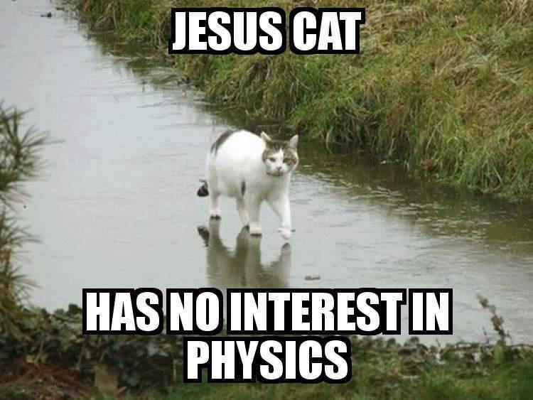 Jesus Cat Funny Meme