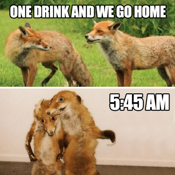 One Drink Funny Meme