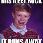 Pet Rock funny meme