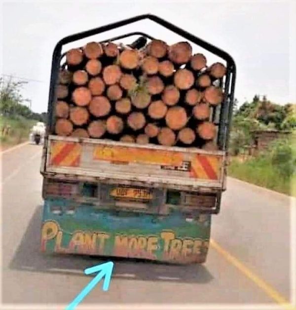 Plant more Trees Funny Meme
