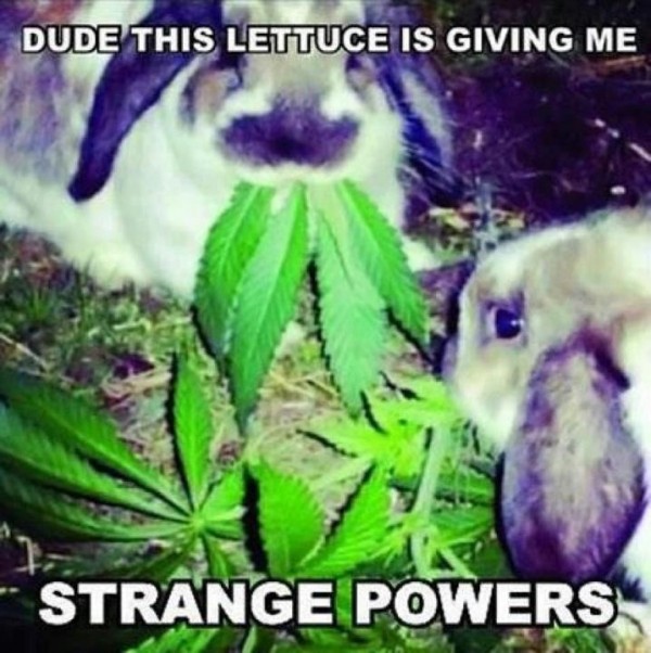 Strange Powers Funny Meme
