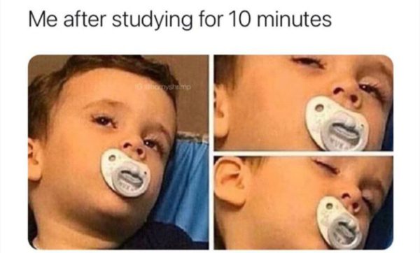 Me after studying for 10 minutes Funny Meme