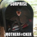 Surprise Mail Funny Meme