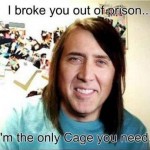 The Only Cage You Need Funny Meme