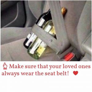 Wear Seat Belt Funny Meme