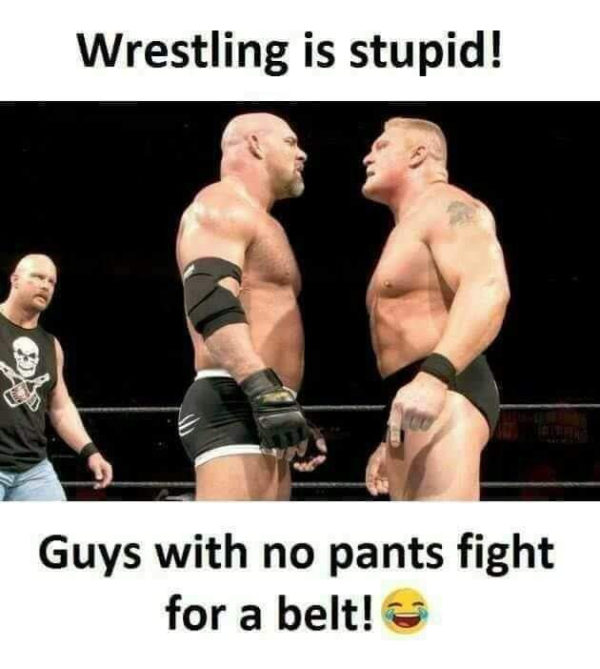 Wrestling is stupid Funny Meme