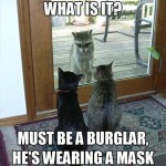Funny Animal Meme